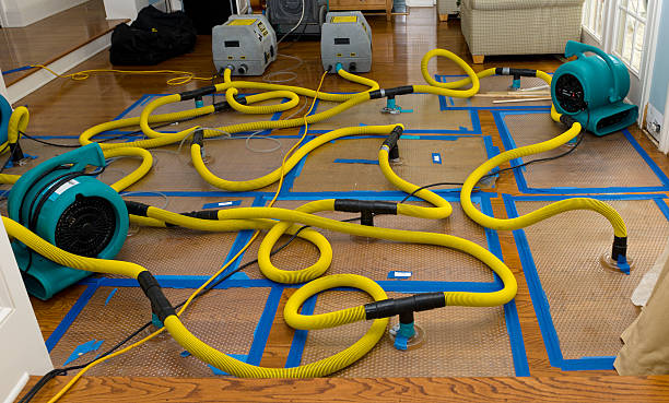 Professional Structural Drying And Dehumidification technician working in Surfside, FL